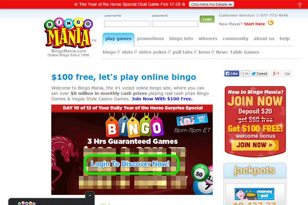 Bingo Mania screen shot