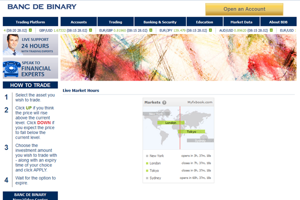Banc de Binary screen shot