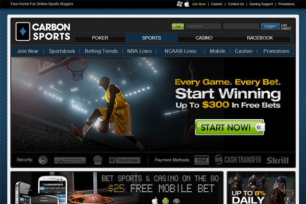 Carbon Sports screen shot