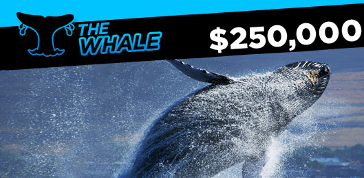 the 888 whale promo